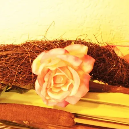 Garni Am Hechenberg Hotel Mainz