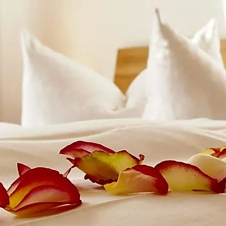 Hotel Garni Am Hechenberg Mainz