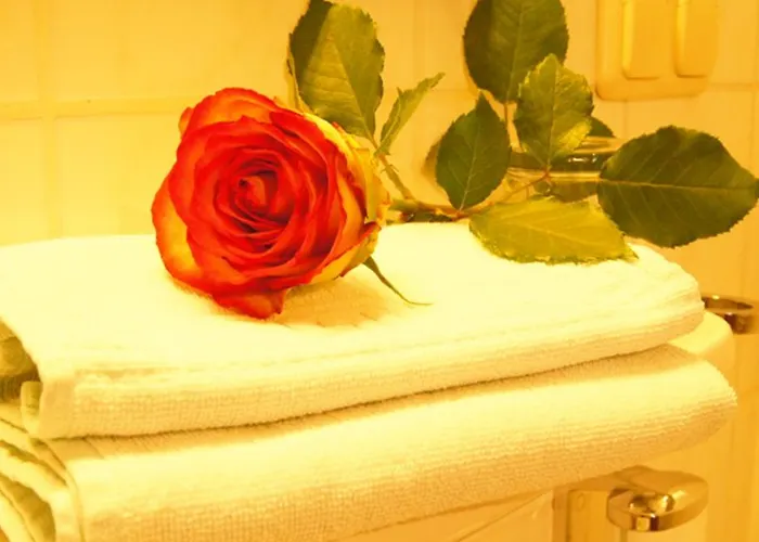 Garni Am Hechenberg Hotel Mainz