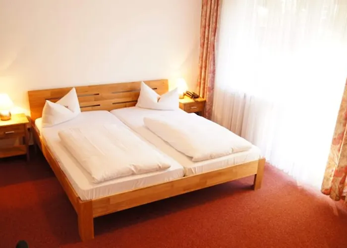 Garni Am Hechenberg Hotel Mainz